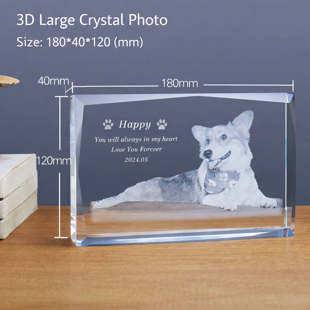 Crystal Portrait (3D Engraving)