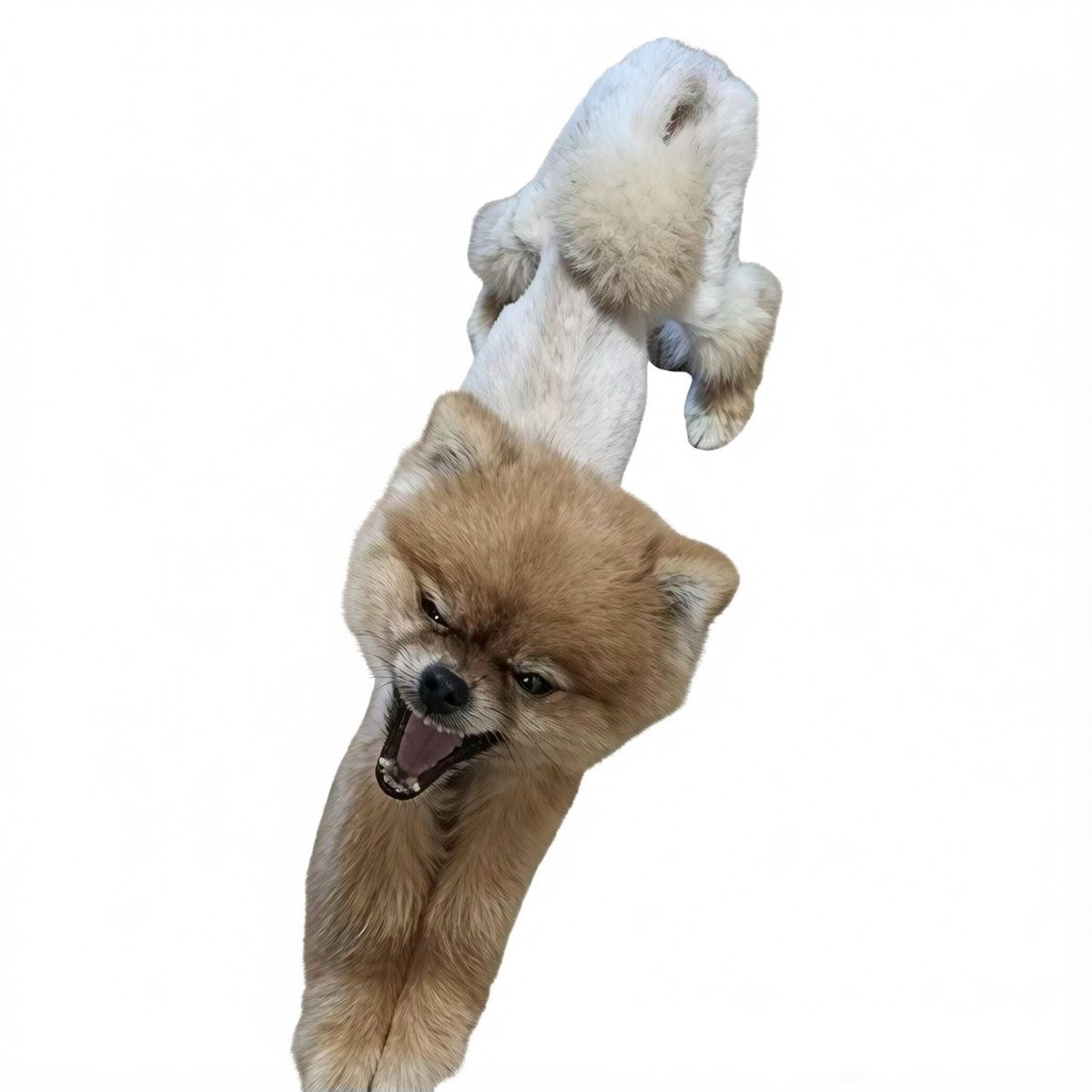 Funny Ugly Custom Pet Pillow (Careful - REAL UGLY!)