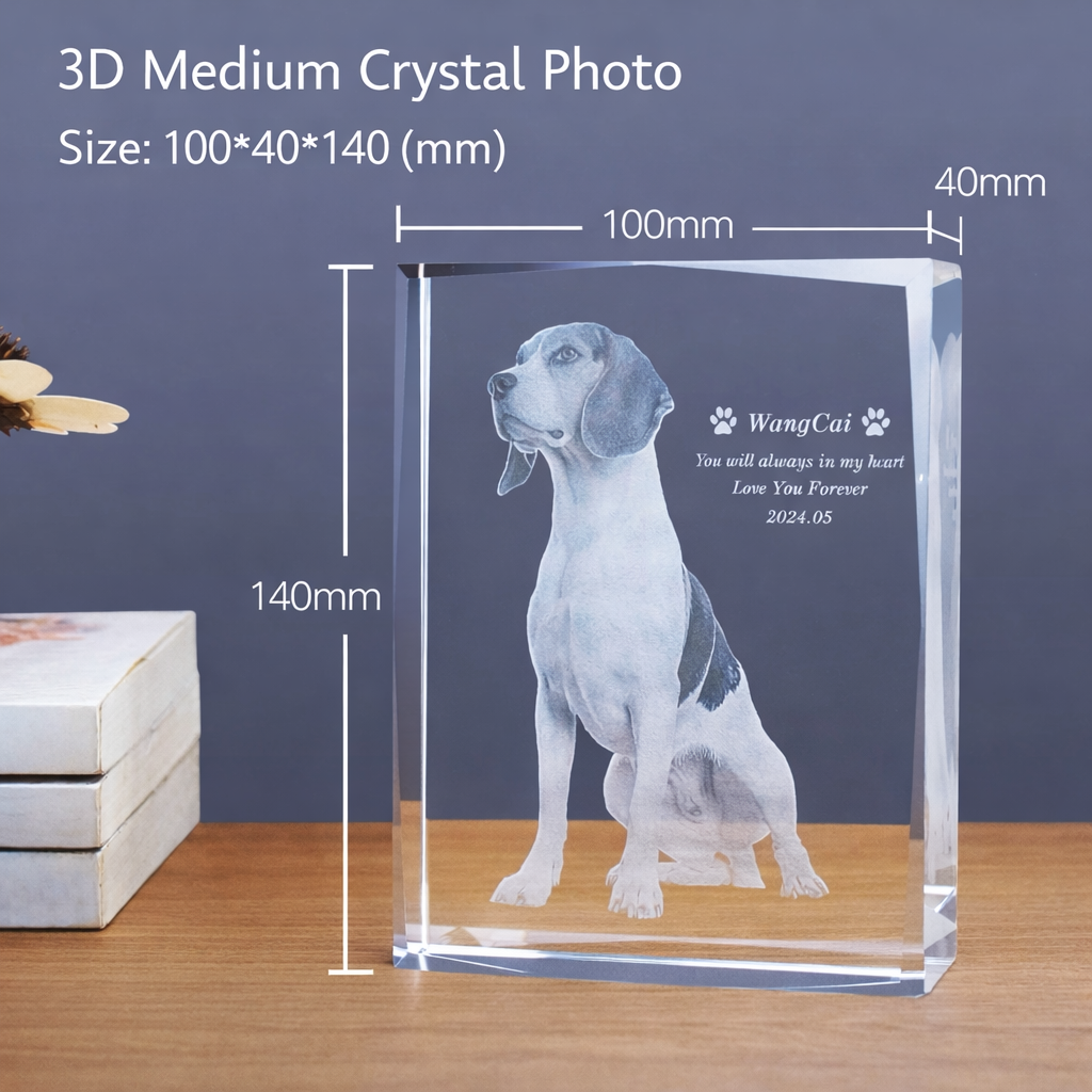 Crystal Portrait (3D Engraving)