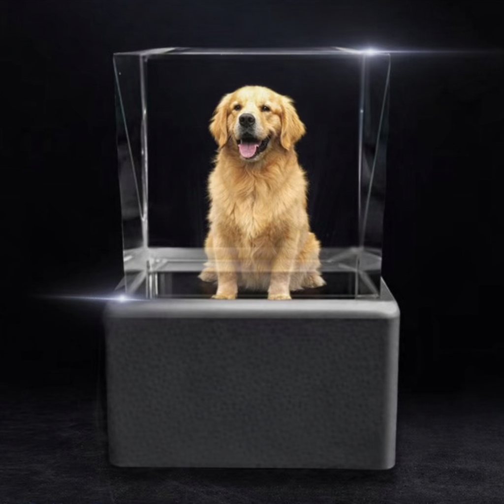 3D Forever Pet Companion