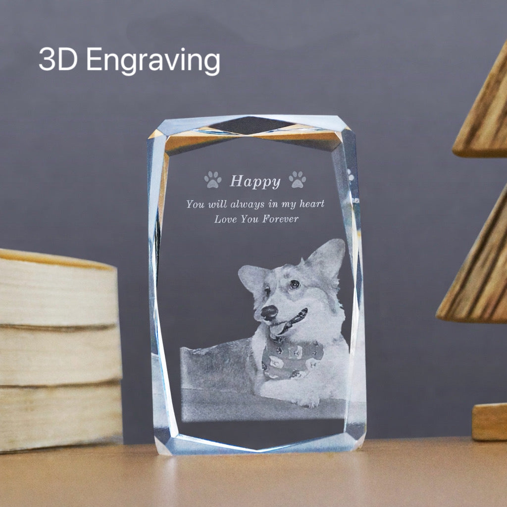 Crystal Portrait (3D Engraving)