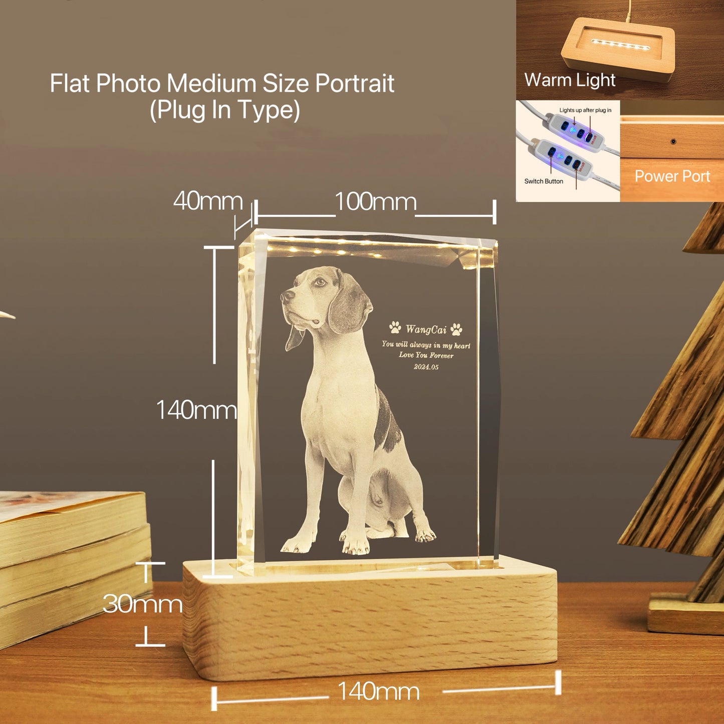 Portrait Crystal Night Light (Flat Engraving)