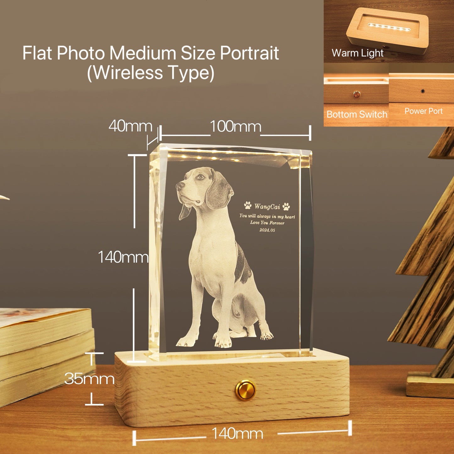 Portrait Crystal Night Light (Flat Engraving)