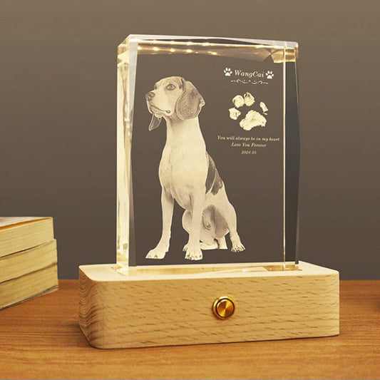 Portrait Crystal Night Light (3D Engraving)