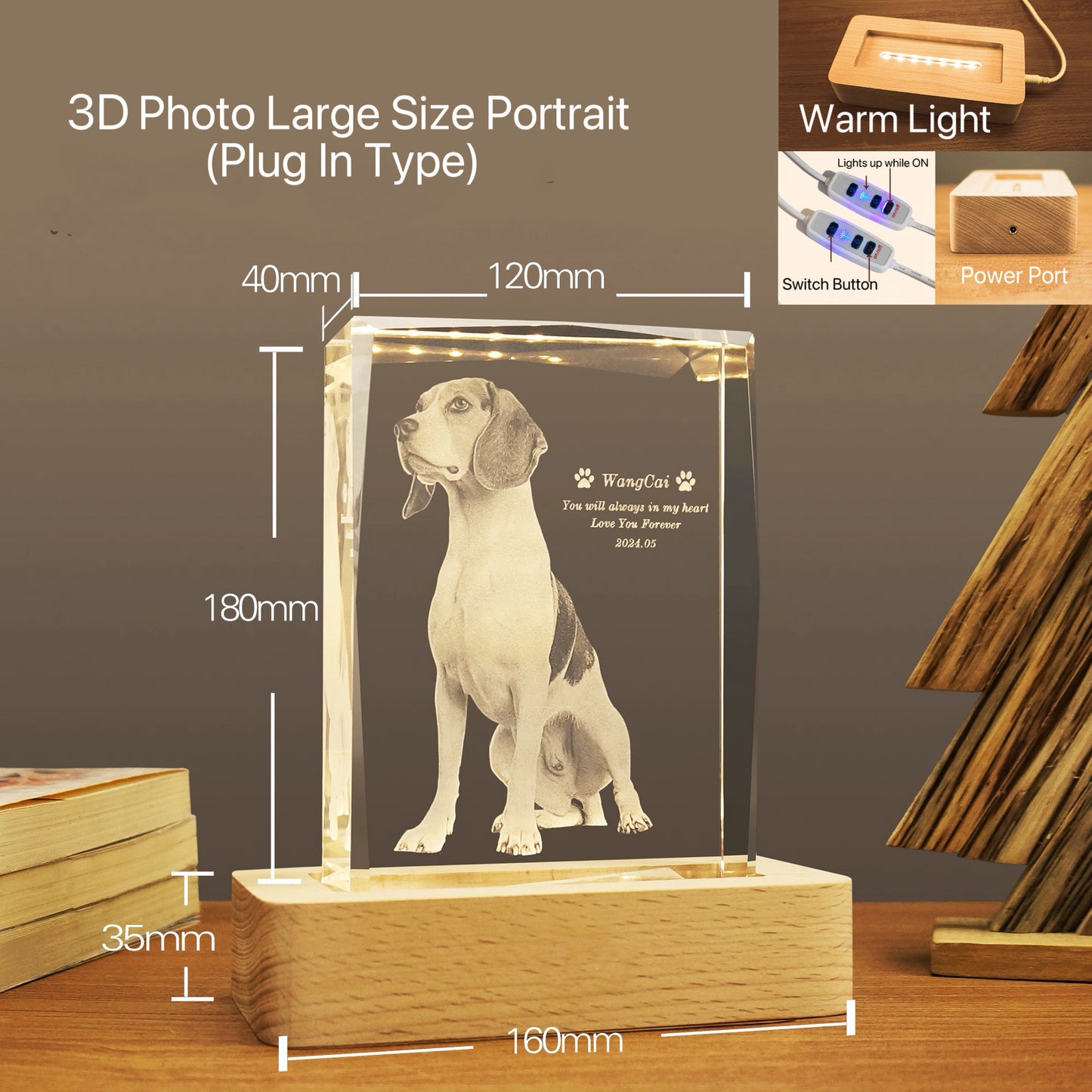 Portrait Crystal Night Light (3D Engraving)