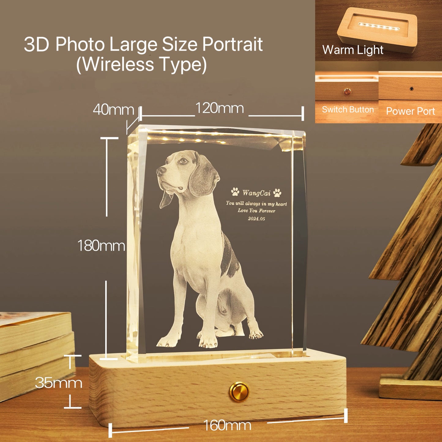 Portrait Crystal Night Light (3D Engraving)