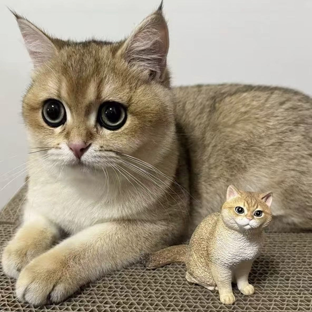 Custom Pet Figurine