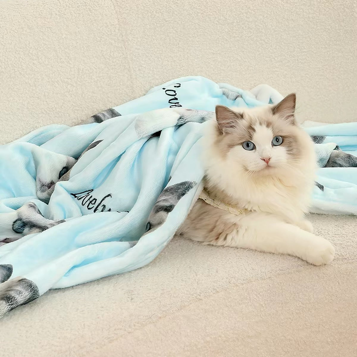Custom Pet Blanket