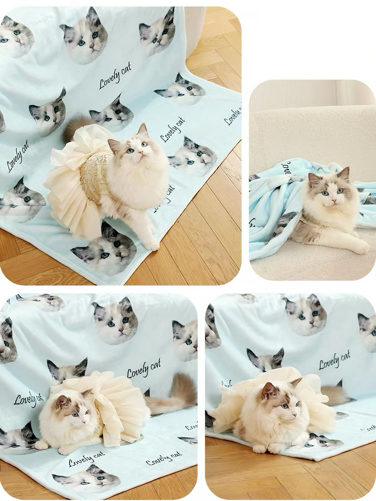 Custom Pet Blanket