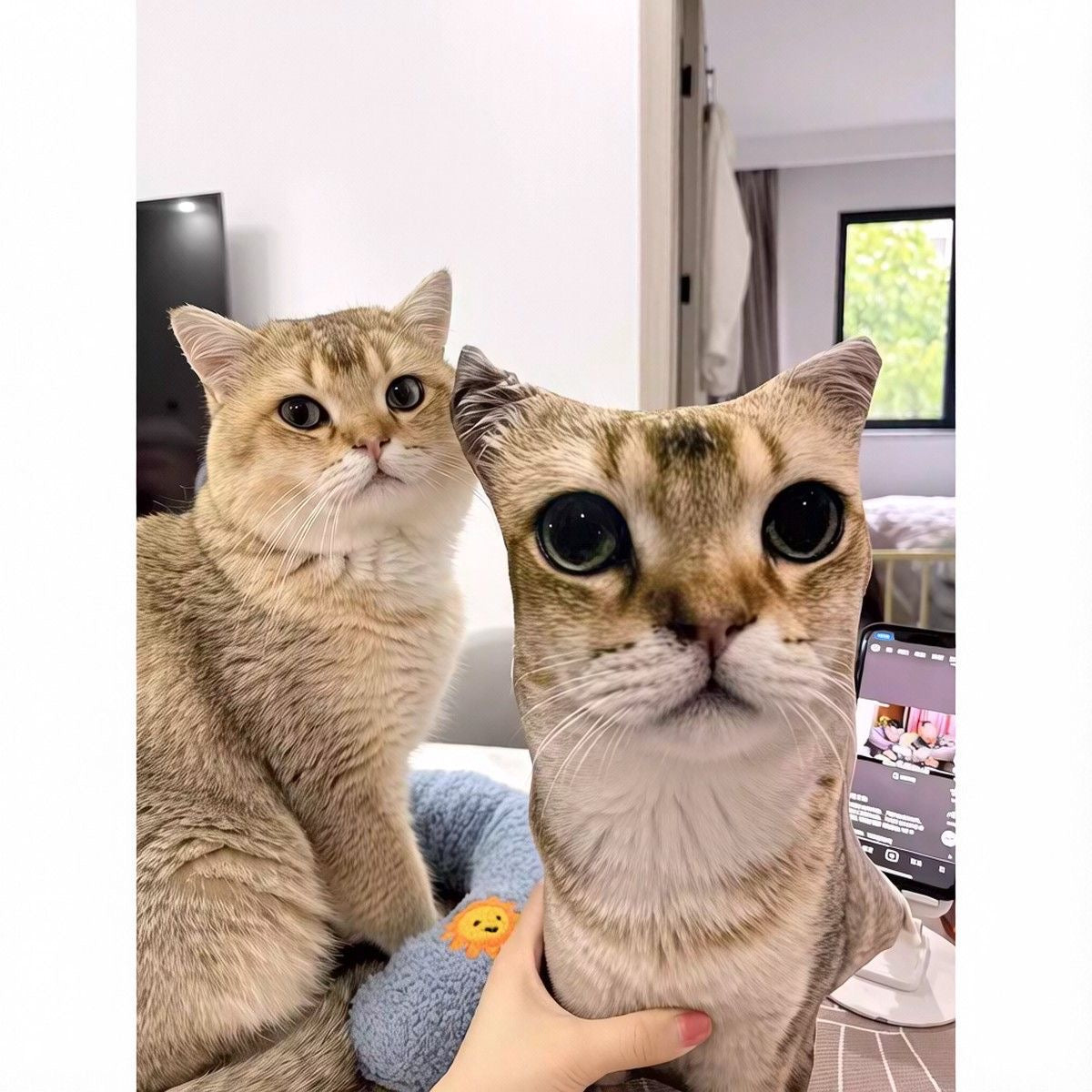 Funny Ugly Custom Pet Pillow (Careful - REAL UGLY!)