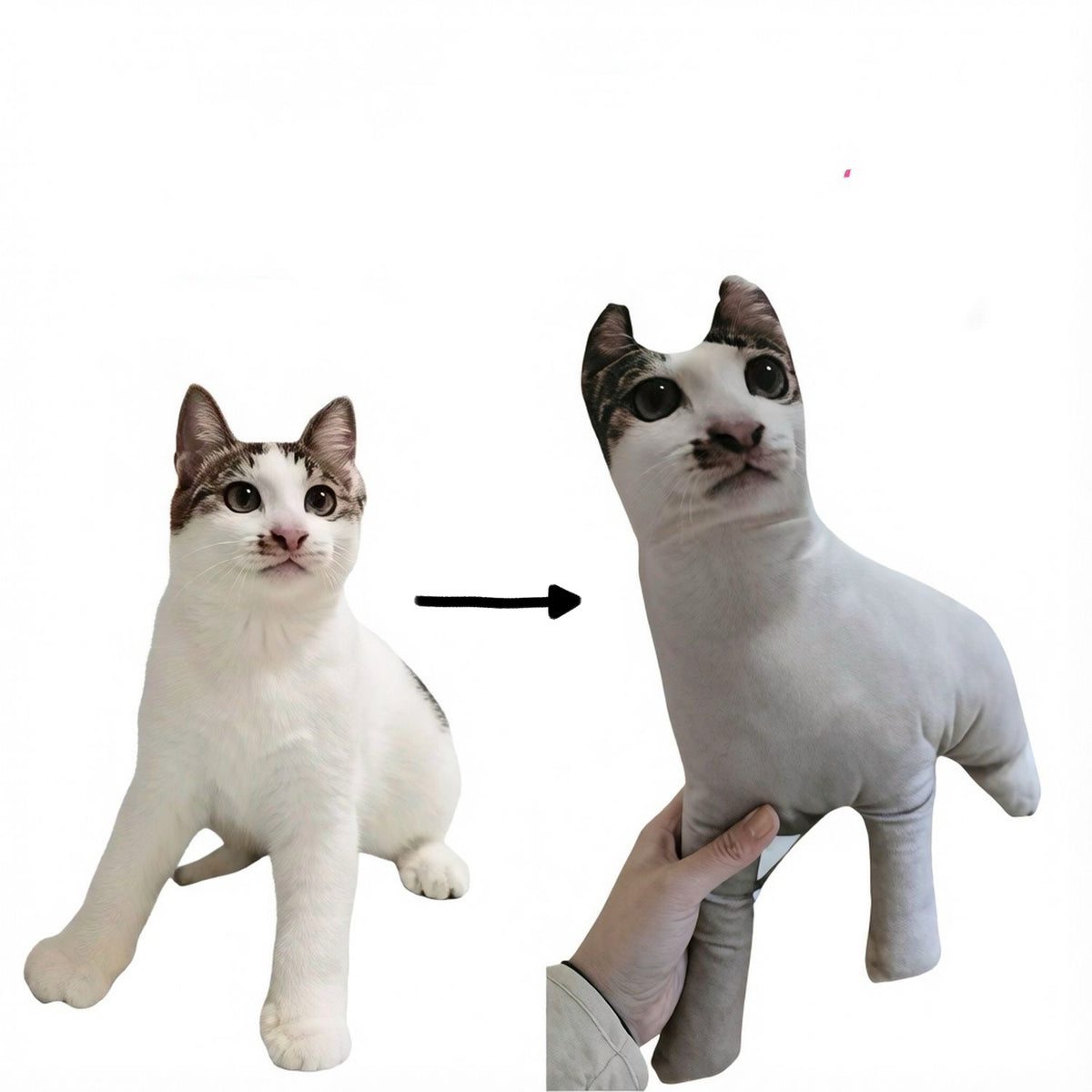 Funny Ugly Custom Pet Pillow (Careful - REAL UGLY!)